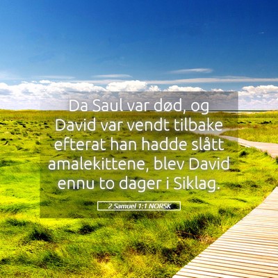 Picture 05 - 2 Samuel 1:1 NORSK - Da Saul var død, og David var vendt tilbake - Bible Verse Picture