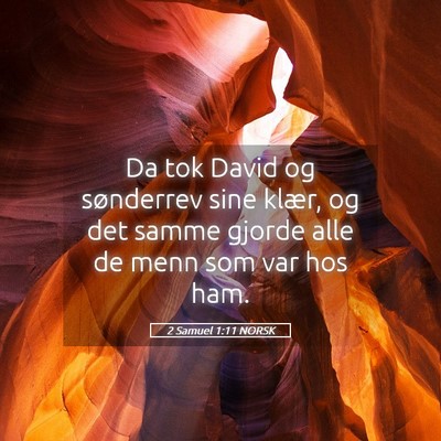 Picture 05 - 2 Samuel 1:11 NORSK - Da tok David og sønderrev sine klær, og det - Bible Verse Picture