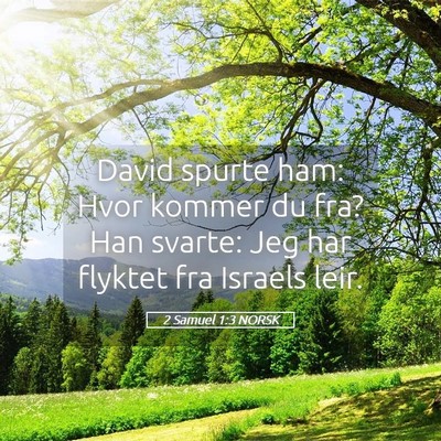Picture 05 - 2 Samuel 1:3 NORSK - David spurte ham: Hvor kommer du fra? Han svarte: - Bible Verse Picture