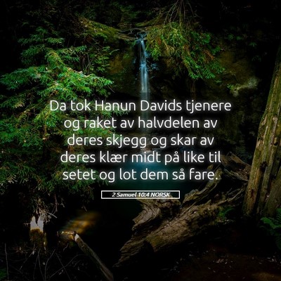 Picture 05 - 2 Samuel 10:4 NORSK - Da tok Hanun Davids tjenere og raket av halvdelen - Bible Verse Picture