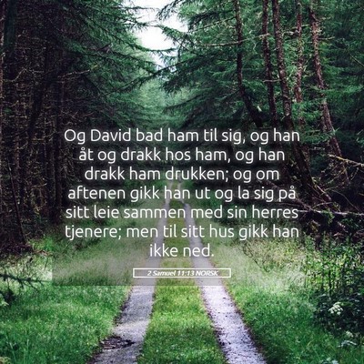 Picture 05 - 2 Samuel 11:13 NORSK - Og David bad ham til sig, og han åt og drakk hos - Bible Verse Picture