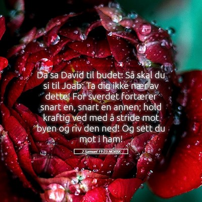 Picture 05 - 2 Samuel 11:25 NORSK - Da sa David til budet: Så skal du si til Joab: - Bible Verse Picture
