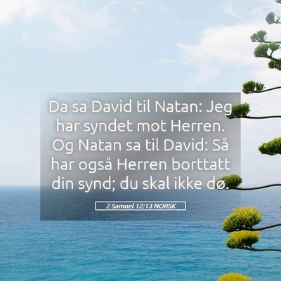 Picture 05 - 2 Samuel 12:13 NORSK - Da sa David til Natan: Jeg har syndet mot Herren. - Bible Verse Picture