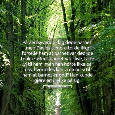 Picture 05 - 2 Samuel 12:18 NORSK - På den syvende dag døde barnet; men Davids - Bible Verse Picture