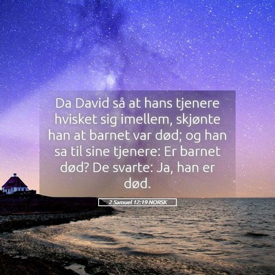 Picture 05 - 2 Samuel 12:19 NORSK - Da David så at hans tjenere hvisket sig imellem, - Bible Verse Picture