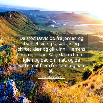 Picture 05 - 2 Samuel 12:20 NORSK - Da stod David op fra jorden og tvettet sig og - Bible Verse Picture