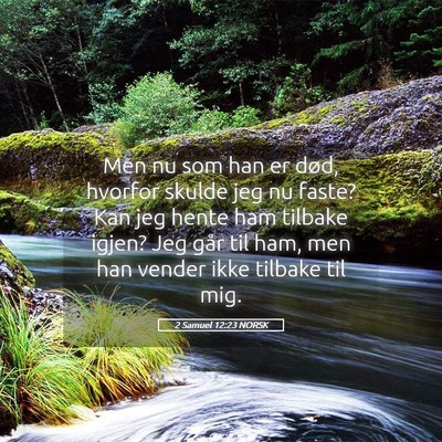 Picture 05 - 2 Samuel 12:23 NORSK - Men nu som han er død, hvorfor skulde jeg nu - Bible Verse Picture