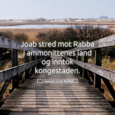 Picture 05 - 2 Samuel 12:26 NORSK - Joab stred mot Rabba i ammonittenes land og - Bible Verse Picture