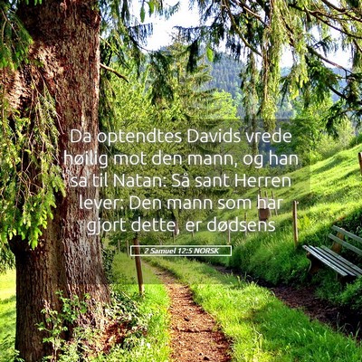 Picture 05 - 2 Samuel 12:5 NORSK - Da optendtes Davids vrede høilig mot den mann, - Bible Verse Picture