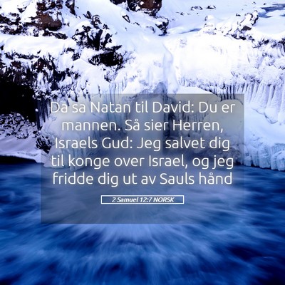 Picture 05 - 2 Samuel 12:7 NORSK - Da sa Natan til David: Du er mannen. Så sier - Bible Verse Picture