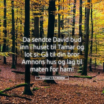 Picture 05 - 2 Samuel 13:7 NORSK - Da sendte David bud inn i huset til Tamar og lot - Bible Verse Picture