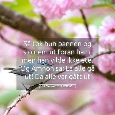 Picture 05 - 2 Samuel 13:9 NORSK - Så tok hun pannen og slo dem ut foran ham; men - Bible Verse Picture