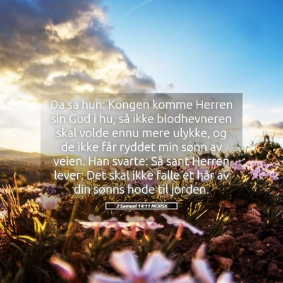 Picture 05 - 2 Samuel 14:11 NORSK - Da sa hun: Kongen komme Herren sin Gud i hu, så - Bible Verse Picture