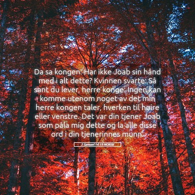 Picture 05 - 2 Samuel 14:19 NORSK - Da sa kongen: Har ikke Joab sin hånd med i alt - Bible Verse Picture