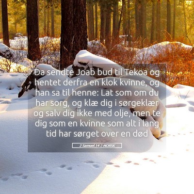 Picture 05 - 2 Samuel 14:2 NORSK - Da sendte Joab bud til Tekoa og hentet derfra en - Bible Verse Picture