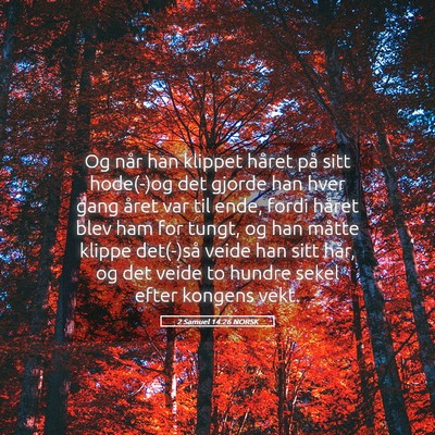 Picture 05 - 2 Samuel 14:26 NORSK - Og når han klippet håret på sitt hode(-)og det - Bible Verse Picture