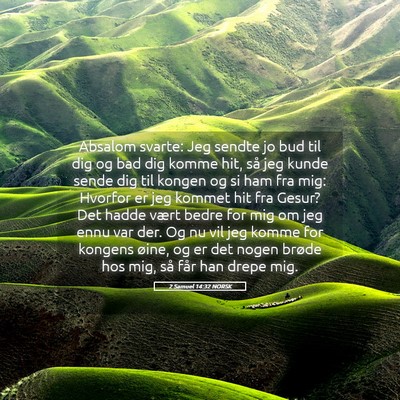 Picture 05 - 2 Samuel 14:32 NORSK - Absalom svarte: Jeg sendte jo bud til dig og bad - Bible Verse Picture