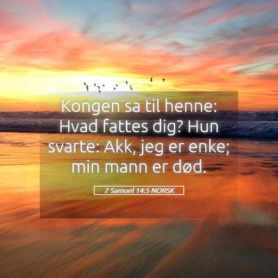 Picture 05 - 2 Samuel 14:5 NORSK - Kongen sa til henne: Hvad fattes dig? Hun svarte: - Bible Verse Picture
