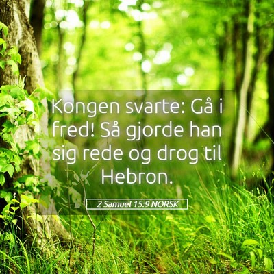 Picture 05 - 2 Samuel 15:9 NORSK - Kongen svarte: Gå i fred! Så gjorde han sig - Bible Verse Picture