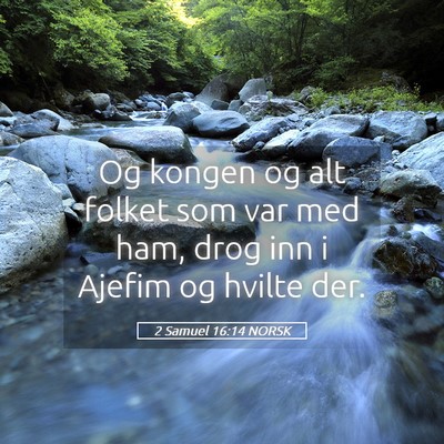Picture 05 - 2 Samuel 16:14 NORSK - Og kongen og alt folket som var med ham, drog inn - Bible Verse Picture