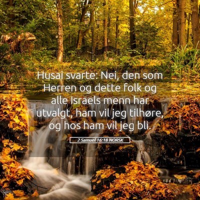 Picture 05 - 2 Samuel 16:18 NORSK - Husai svarte: Nei, den som Herren og dette folk - Bible Verse Picture
