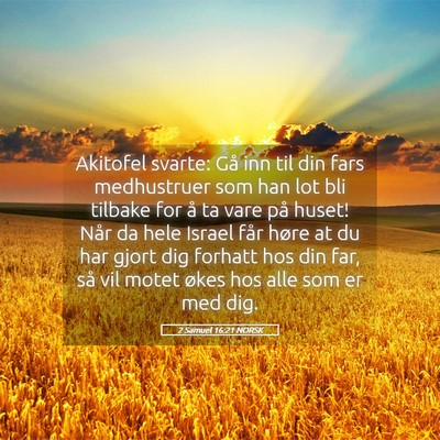 Picture 05 - 2 Samuel 16:21 NORSK - Akitofel svarte: Gå inn til din fars medhustruer - Bible Verse Picture