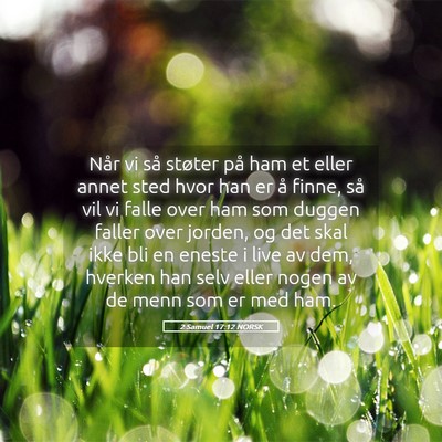 Picture 05 - 2 Samuel 17:12 NORSK - Når vi så støter på ham et eller annet sted - Bible Verse Picture