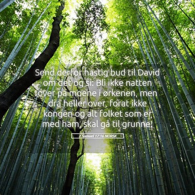 Picture 05 - 2 Samuel 17:16 NORSK - Send derfor hastig bud til David om det og si: - Bible Verse Picture