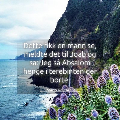 Picture 05 - 2 Samuel 18:10 NORSK - Dette fikk en mann se, meldte det til Joab og sa: - Bible Verse Picture