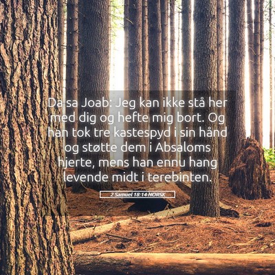Picture 05 - 2 Samuel 18:14 NORSK - Da sa Joab: Jeg kan ikke stå her med dig og - Bible Verse Picture