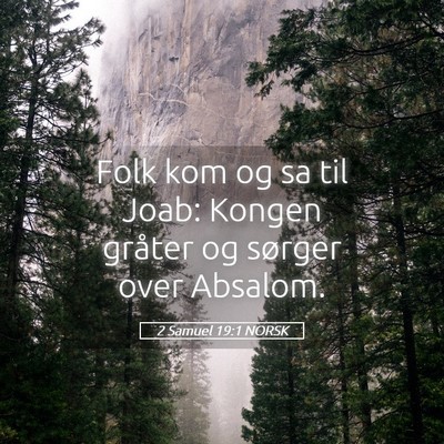 Picture 05 - 2 Samuel 19:1 NORSK - Folk kom og sa til Joab: Kongen gråter og - Bible Verse Picture