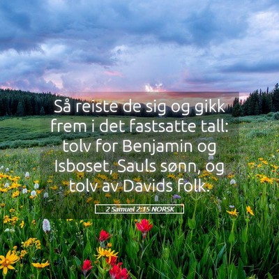 Picture 05 - 2 Samuel 2:15 NORSK - Så reiste de sig og gikk frem i det fastsatte - Bible Verse Picture