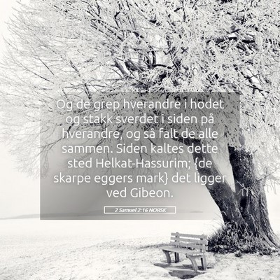Picture 05 - 2 Samuel 2:16 NORSK - Og de grep hverandre i hodet og stakk sverdet i - Bible Verse Picture