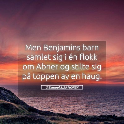 Picture 05 - 2 Samuel 2:25 NORSK - Men Benjamins barn samlet sig i én flokk om - Bible Verse Picture