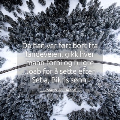 Picture 05 - 2 Samuel 20:13 NORSK - Da han var ført bort fra landeveien, gikk hver - Bible Verse Picture
