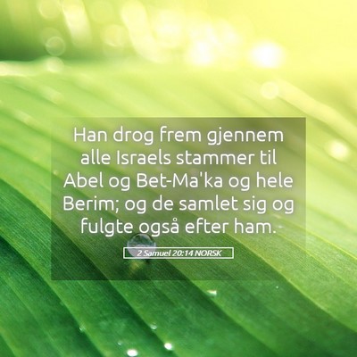 Picture 05 - 2 Samuel 20:14 NORSK - Han drog frem gjennem alle Israels stammer til - Bible Verse Picture
