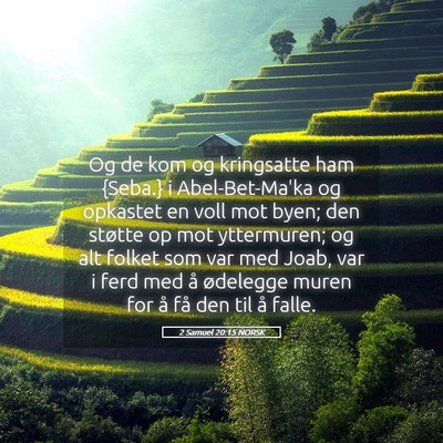 Picture 05 - 2 Samuel 20:15 NORSK - Og de kom og kringsatte ham {Seba.} i - Bible Verse Picture