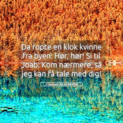 Picture 05 - 2 Samuel 20:16 NORSK - Da ropte en klok kvinne fra byen: Hør, hør! Si - Bible Verse Picture