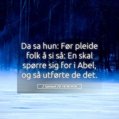 Picture 05 - 2 Samuel 20:18 NORSK - Da sa hun: Før pleide folk å si så: En skal - Bible Verse Picture