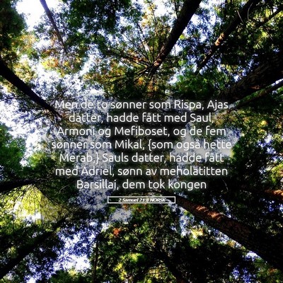 Picture 05 - 2 Samuel 21:8 NORSK - Men de to sønner som Rispa, Ajas datter, hadde - Bible Verse Picture