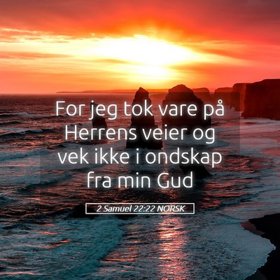 Picture 05 - 2 Samuel 22:22 NORSK - For jeg tok vare på Herrens veier og vek ikke i - Bible Verse Picture