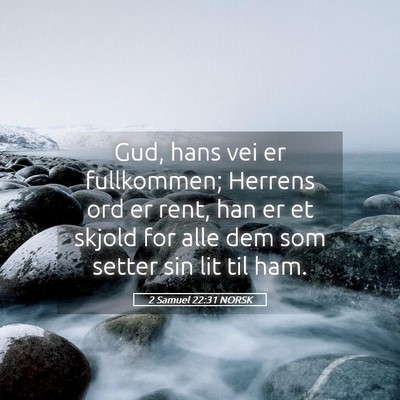 Picture 05 - 2 Samuel 22:31 NORSK - Gud, hans vei er fullkommen; Herrens ord er rent, - Bible Verse Picture