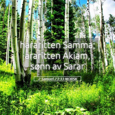Picture 05 - 2 Samuel 23:33 NORSK - hararitten Samma; araritten Akiam, sønn av - Bible Verse Picture