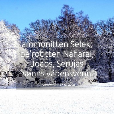Picture 05 - 2 Samuel 23:37 NORSK - ammonitten Selek; be'rotitten Naharai, Joabs, - Bible Verse Picture
