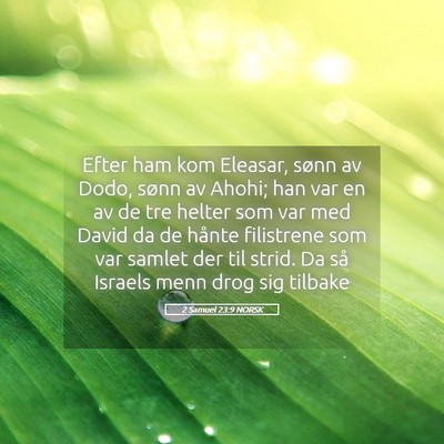 Picture 05 - 2 Samuel 23:9 NORSK - Efter ham kom Eleasar, sønn av Dodo, sønn av - Bible Verse Picture