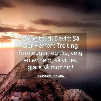Picture 05 - 2 Samuel 24:12 NORSK - Gå og tal til David: Så sier Herren: Tre ting - Bible Verse Picture
