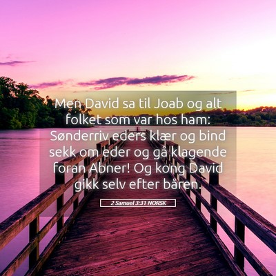 Picture 05 - 2 Samuel 3:31 NORSK - Men David sa til Joab og alt folket som var hos - Bible Verse Picture