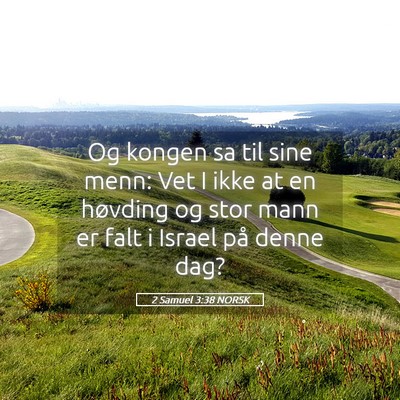 Picture 05 - 2 Samuel 3:38 NORSK - Og kongen sa til sine menn: Vet I ikke at en - Bible Verse Picture