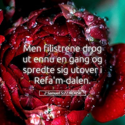 Picture 05 - 2 Samuel 5:22 NORSK - Men filistrene drog ut ennu en gang og spredte - Bible Verse Picture