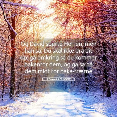 Picture 05 - 2 Samuel 5:23 NORSK - Og David spurte Herren, men han sa: Du skal ikke - Bible Verse Picture